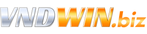 vndwin.biz
