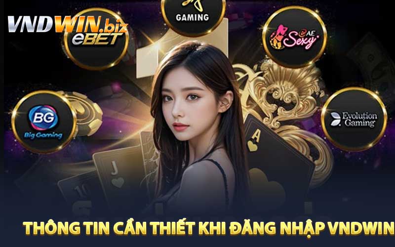 Những thông tin cần thiết khi đăng nhập VNDWIN